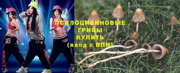 кокс Алексеевка