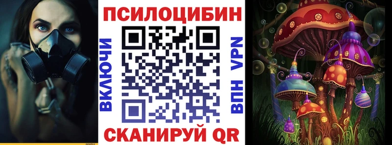 нарко площадка Telegram  Полевской  Псилоцибиновые грибы Cubensis  где продают   kraken ONION 