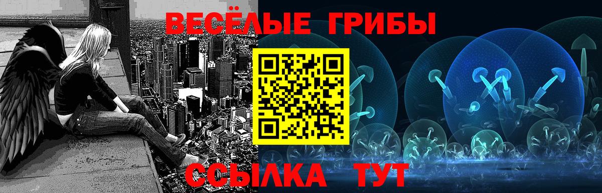 Псилоцибиновые грибы Cubensis Полевской