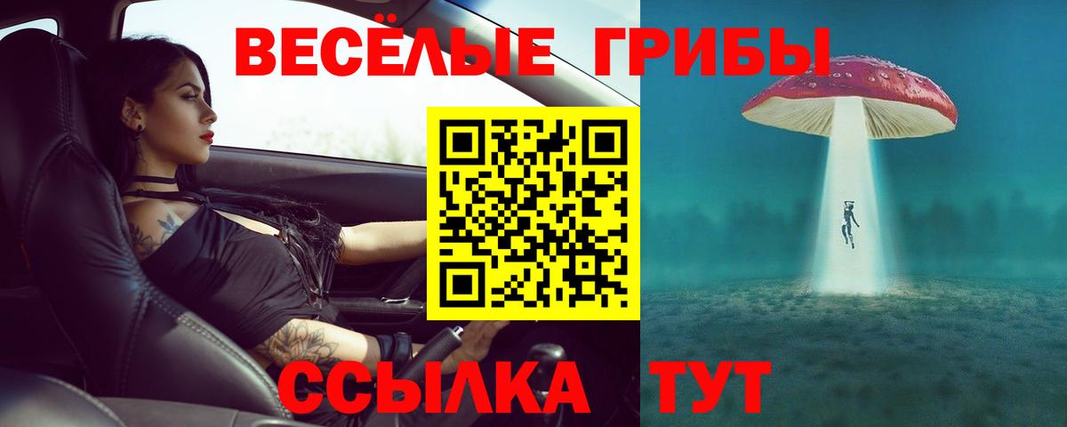Псилоцибиновые грибы GOLDEN TEACHER  Вход с VPN  Полевской  Псилоцибиновые грибы Magic Shrooms 